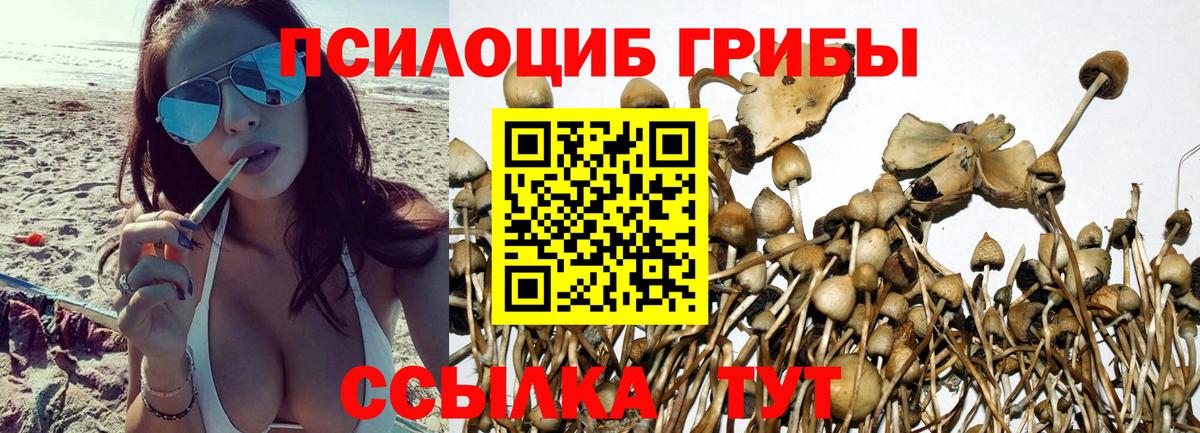 Псилоцибиновые грибы мухоморы Сланцы