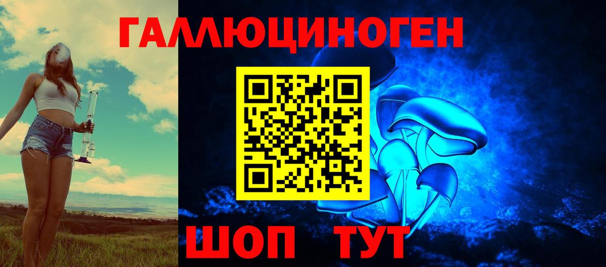 Галлюциногенные грибы мицелий  Вход с VPN  Галлюциногенные грибы Psilocybe  Сланцы 