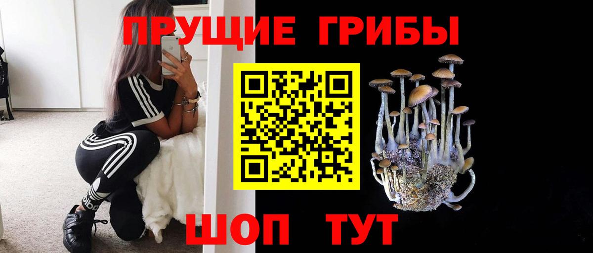 Героин  ТГК  Конопля  Сланцы  МЕФ кристаллы  Марихуана  Гашиш  Вход с VPN 